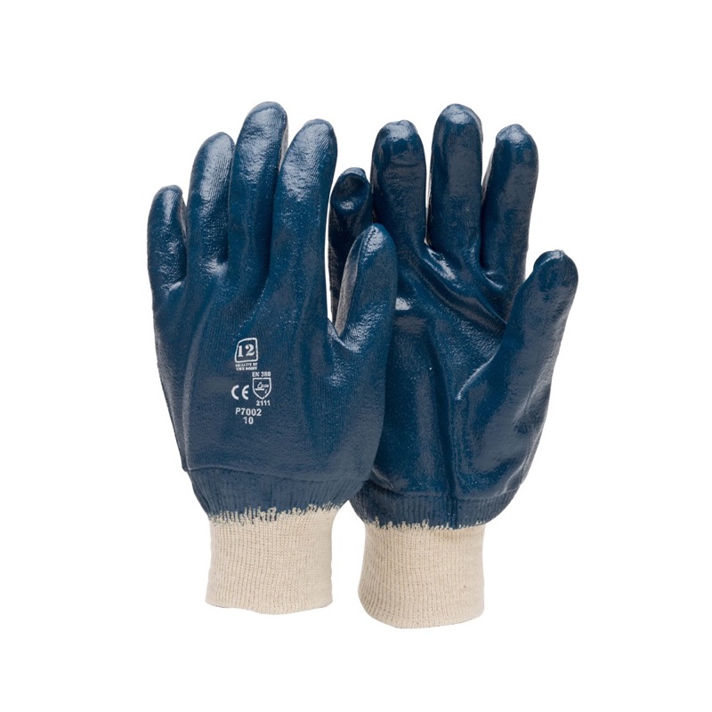 Frontier Nitrile Full Dipped Glove Blue x Size 10